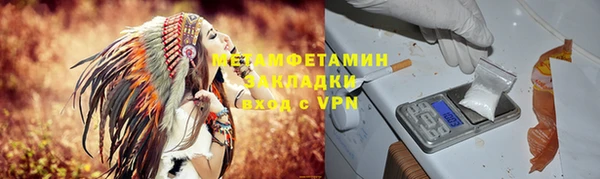 индика Горно-Алтайск