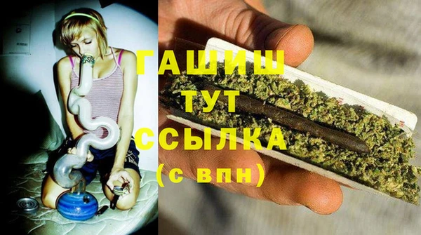 индика Горно-Алтайск