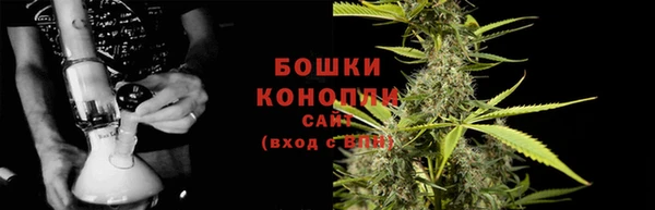 индика Горно-Алтайск