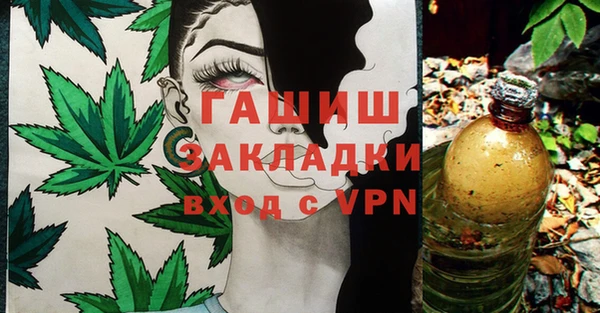 индика Горно-Алтайск