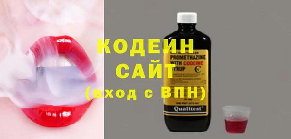 индика Горно-Алтайск