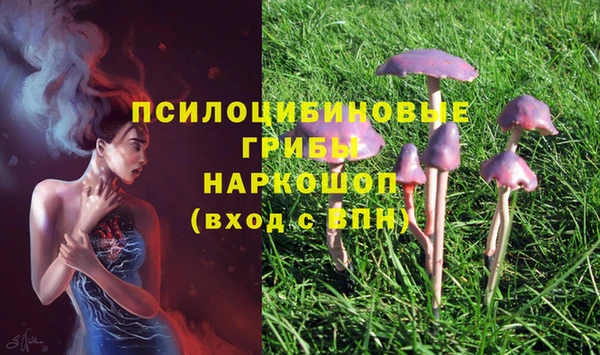 индика Горно-Алтайск