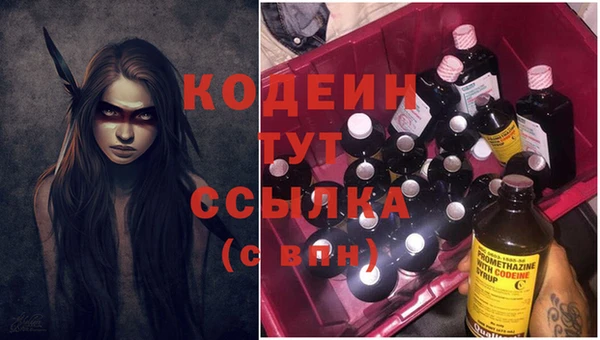 индика Горно-Алтайск