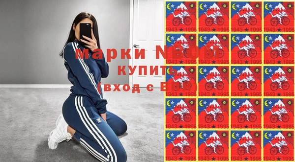 индика Горно-Алтайск