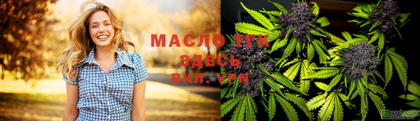 индика Горно-Алтайск