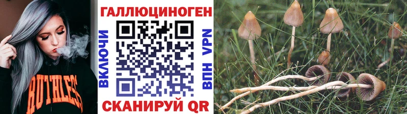 Галлюциногенные грибы ЛСД Темников