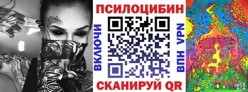 Псилоцибиновые грибы Psilocybe  Купить  Темников 
