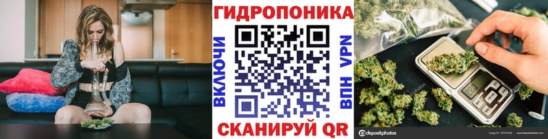 Купить где  Темников  Марихуана конопля 